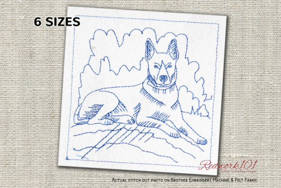 Australian Kelpie Dog Design Review