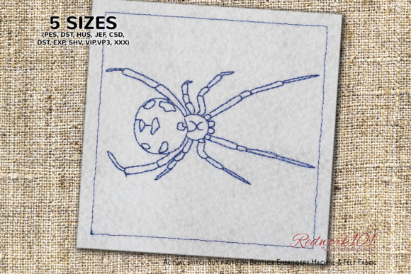 Black Widow Spiders: Boutique Apparel Review