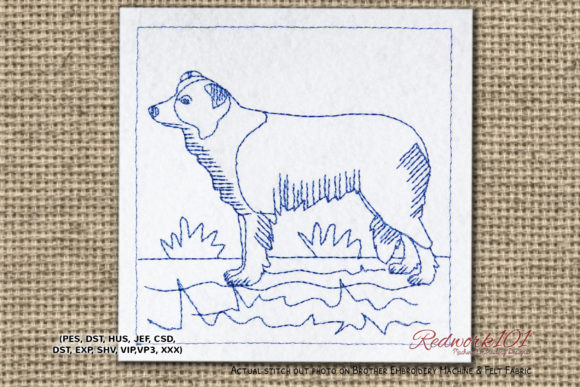 Border Collie Dog Design: A Merch Review