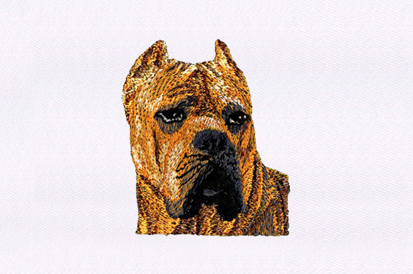 Brown Dog: A Designer’s Review for Boutique Apparel