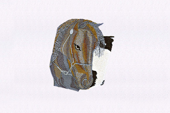 Gazing Horse: A Designer’s Review for Real Projects