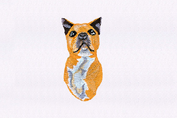 Smug Dog Design: A Boutique Sweatshirt Review